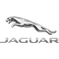 Kategori Jaguar image