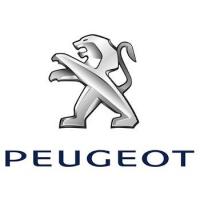 Kategori Peugeot 1007 image